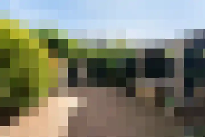 Vivaldistraat 33 Capelle aan den IJssel thumbnail 42