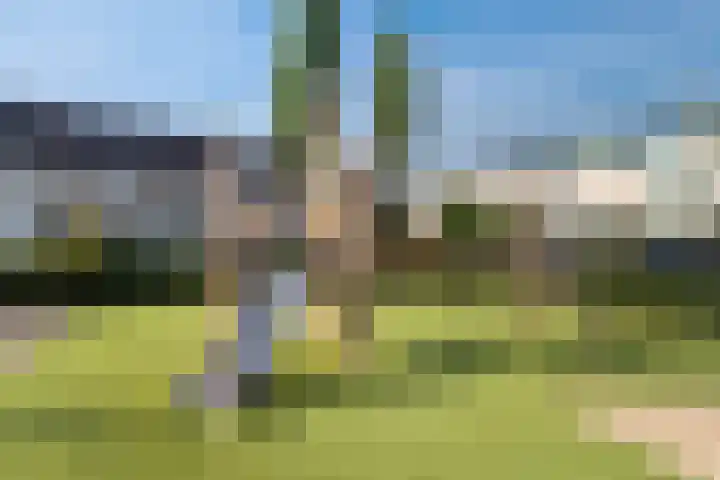 Vivaldistraat 33 Capelle aan den IJssel thumbnail 6
