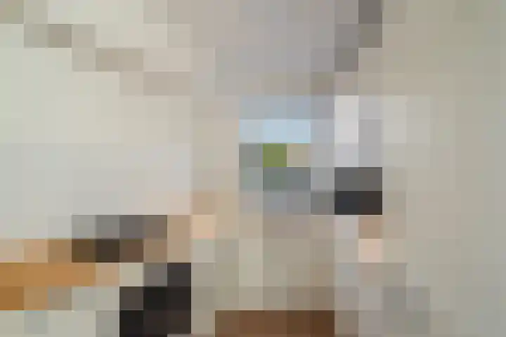 Vivaldistraat 33 Capelle aan den IJssel thumbnail 9