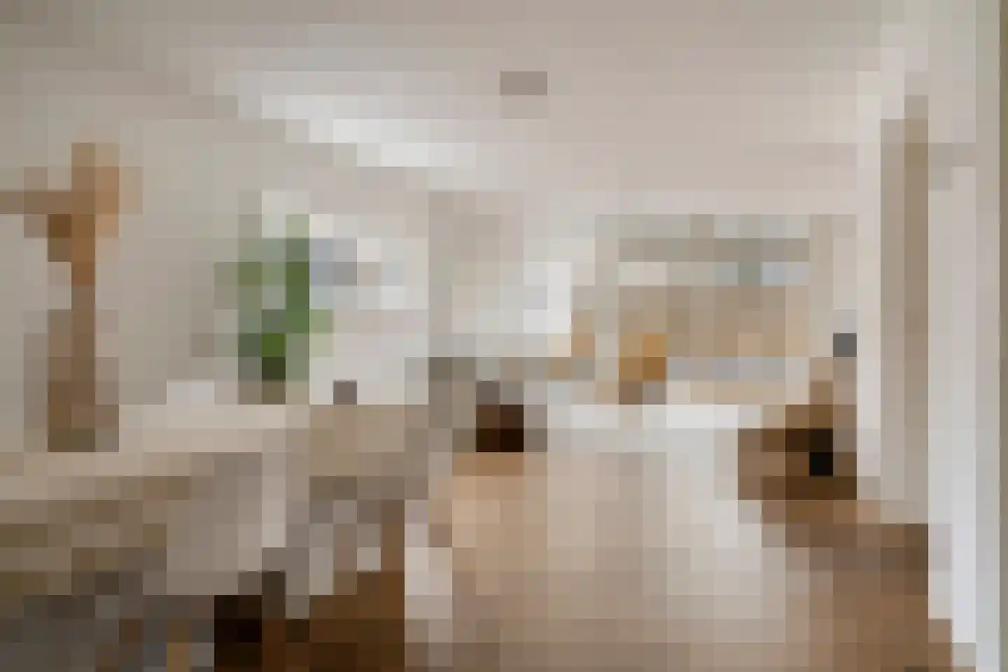 Vivaldistraat 4 A 's-Hertogenbosch foto 3