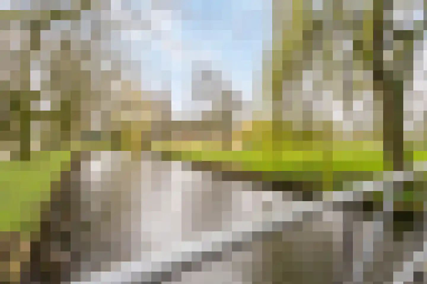Vivaldistraat 4 B 's-Hertogenbosch thumbnail 20