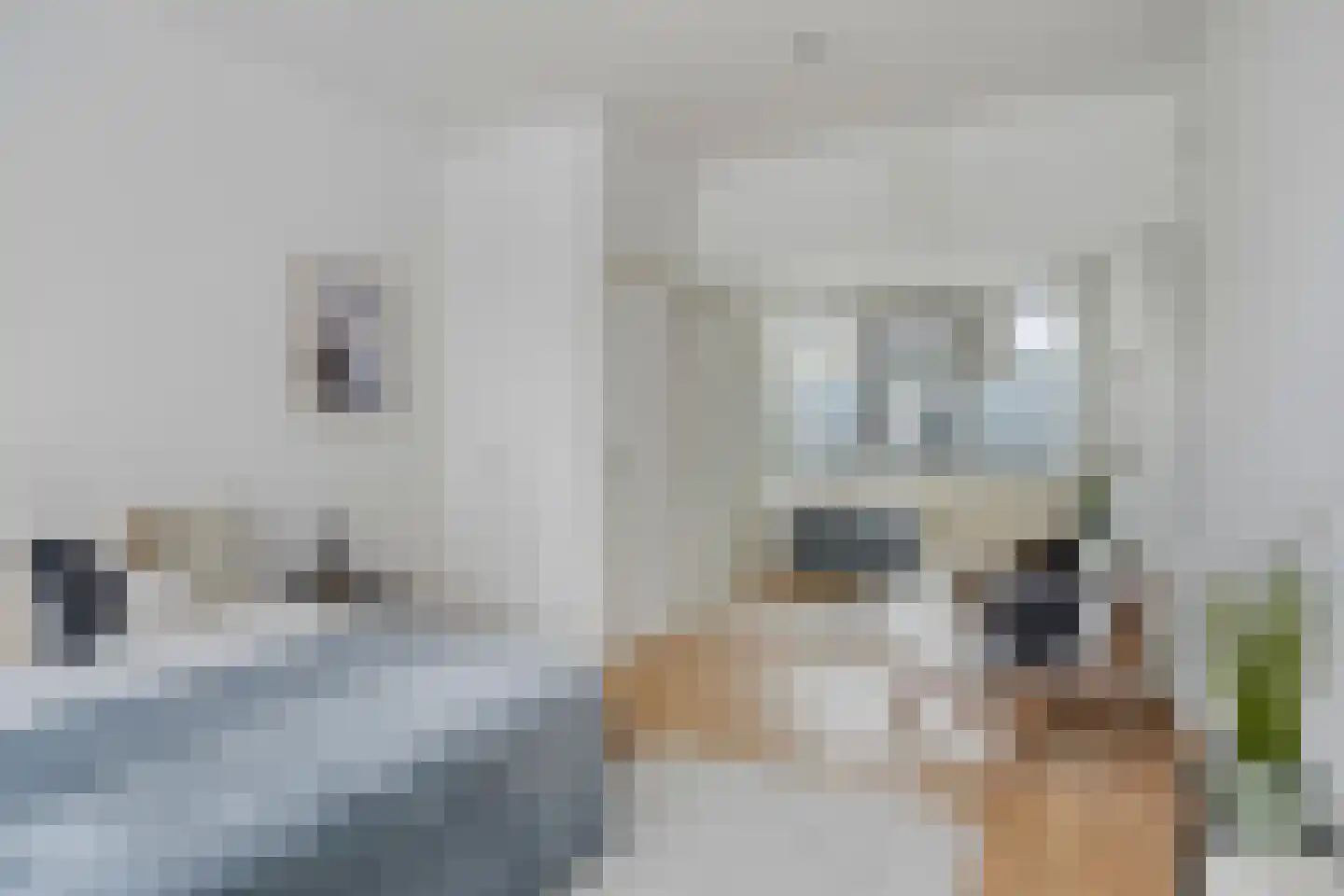 Vivaldistraat 4 's-Hertogenbosch thumbnail 12