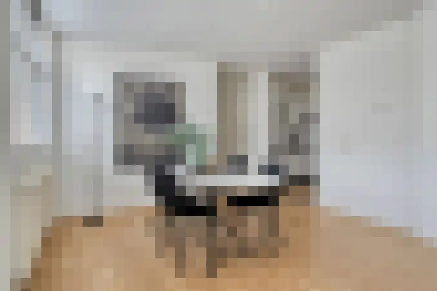 Vivaldistraat 4 's-Hertogenbosch thumbnail 7