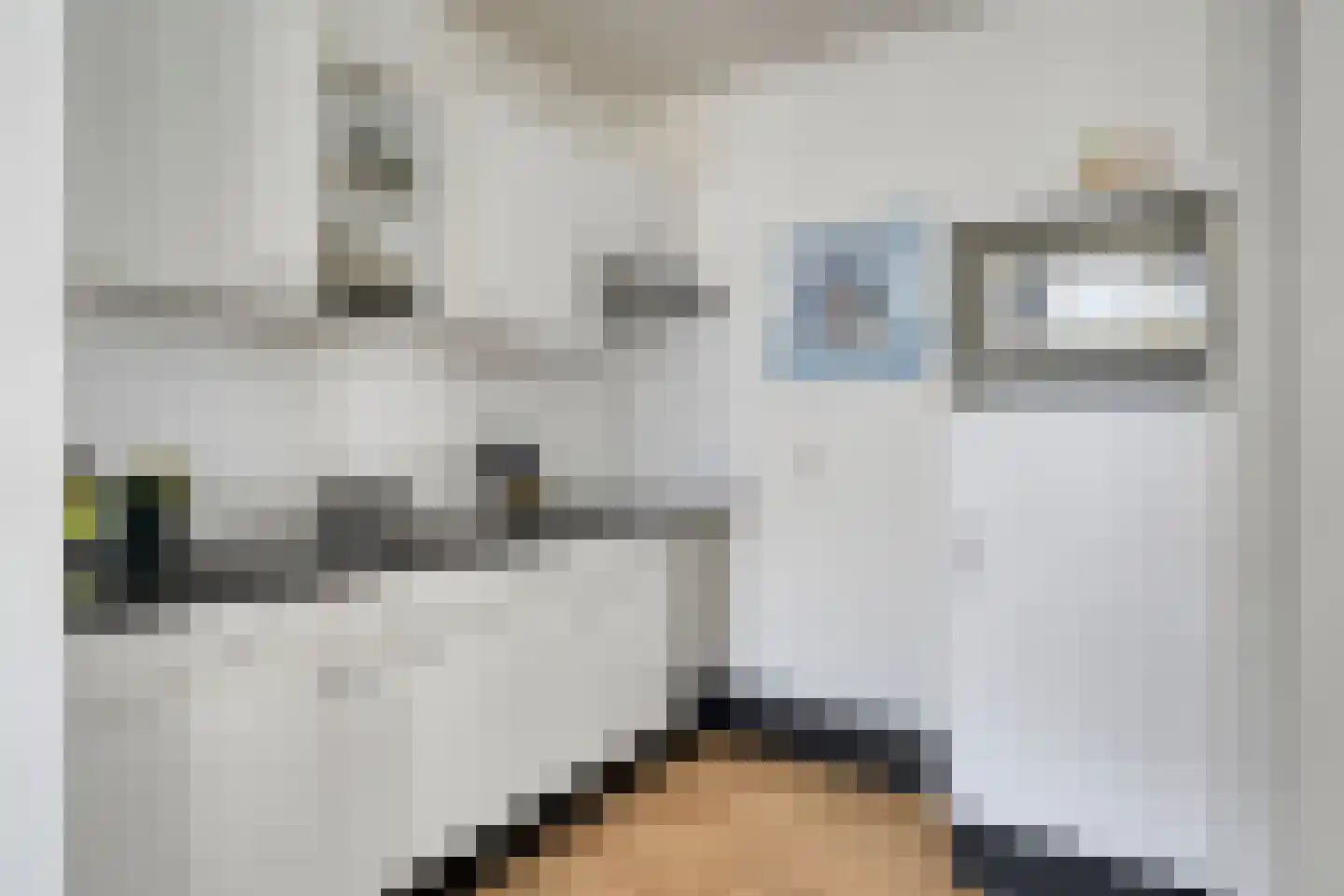 Vivaldistraat 4 's-Hertogenbosch thumbnail 9