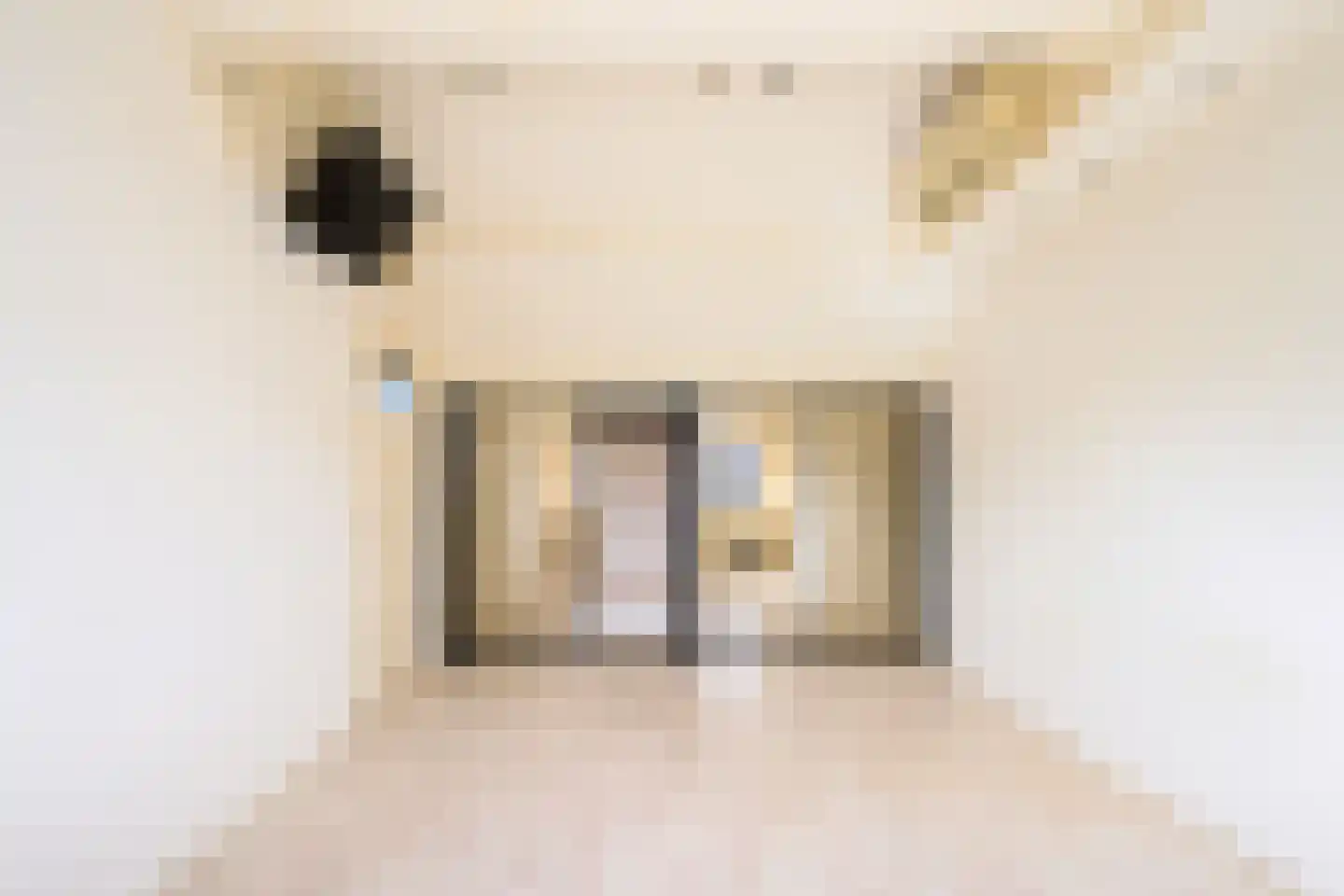 Vivaldistraat 4 Zutphen thumbnail 18