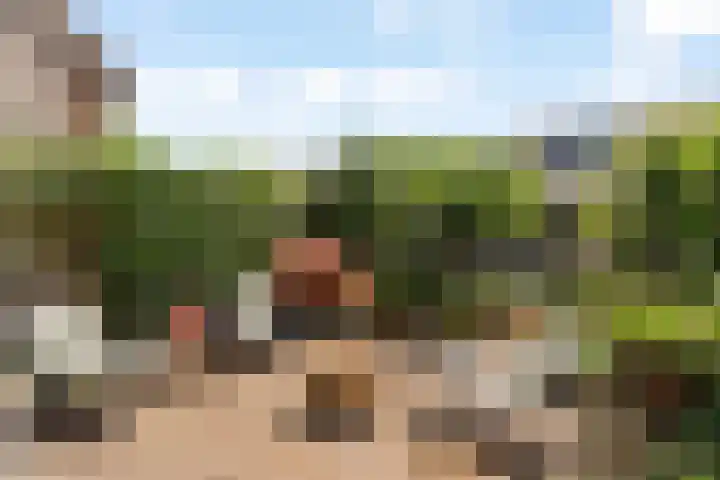 Vivaldistraat 43 Capelle aan den IJssel thumbnail 31