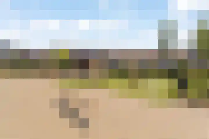 Vivaldistraat 43 Capelle aan den IJssel thumbnail 34