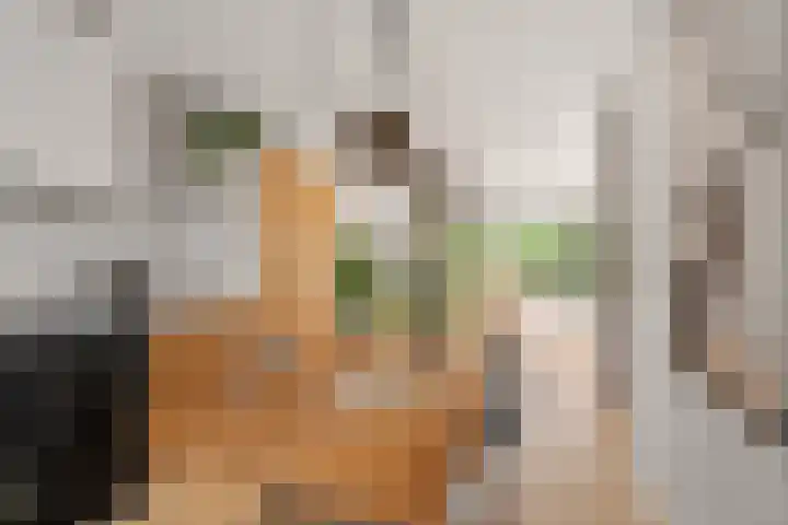 Vivaldistraat 43 Capelle aan den IJssel thumbnail 5