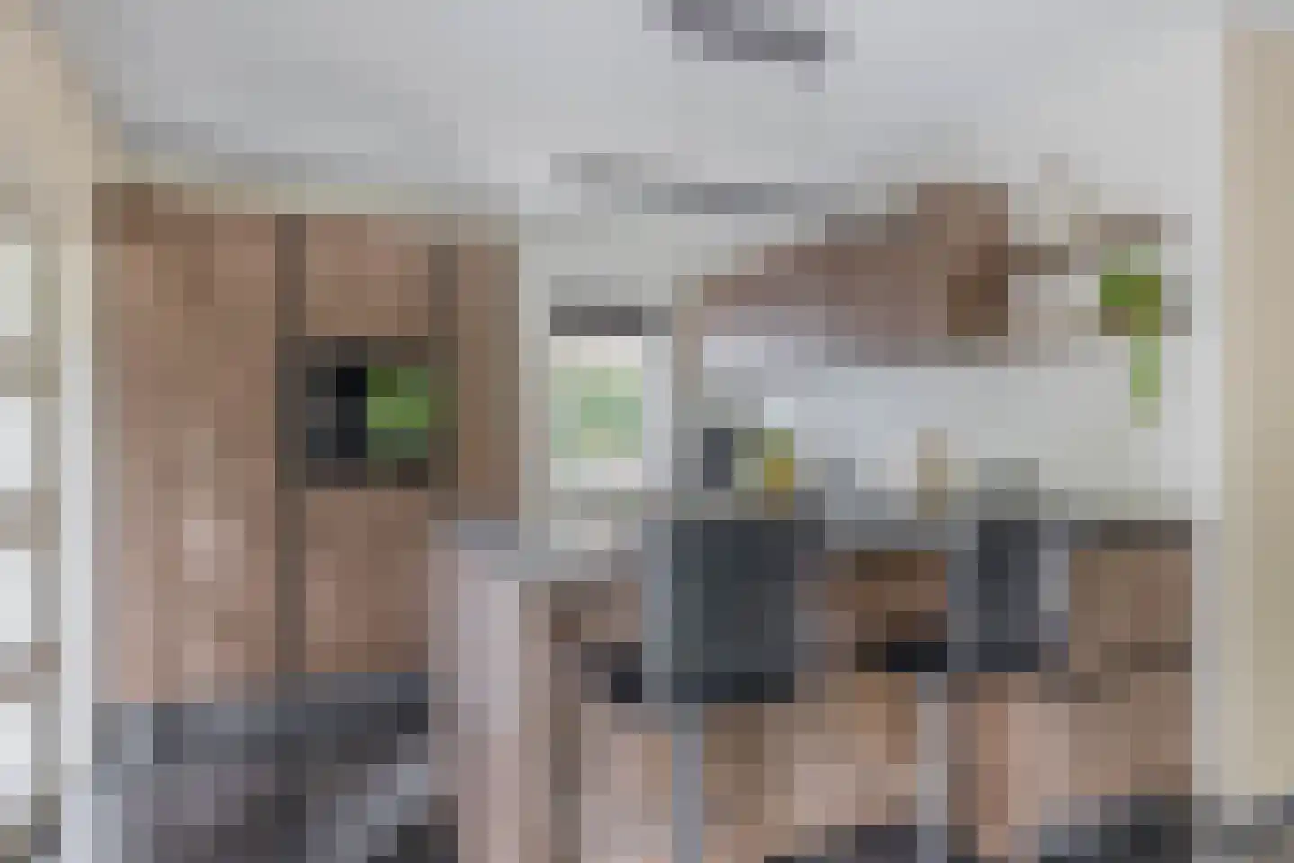 Vivaldistraat 5 Schijndel thumbnail 12