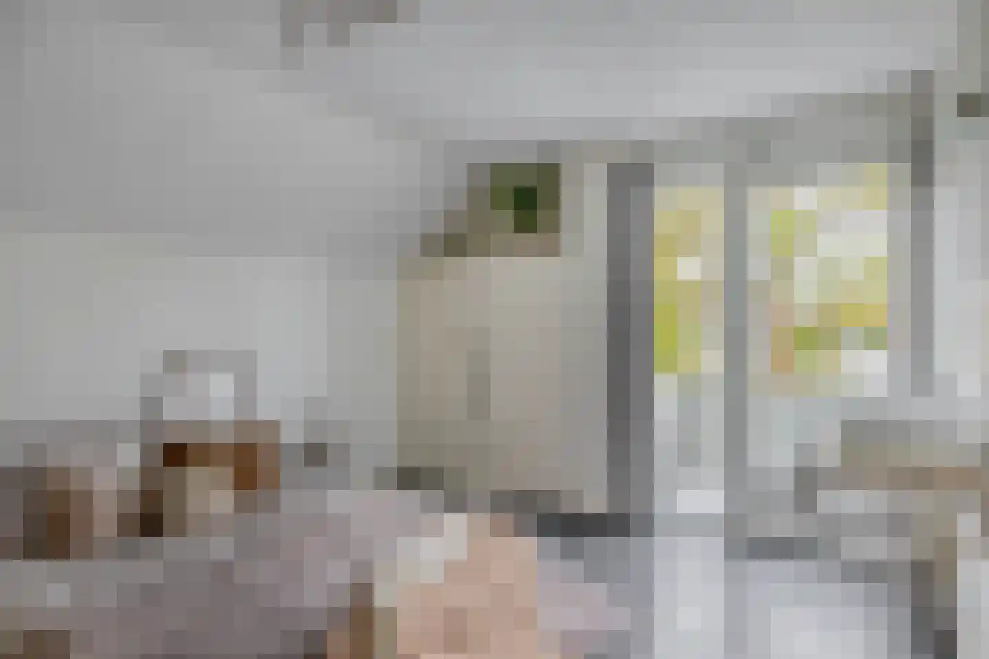 Vivaldistraat 5 Schijndel thumbnail 19