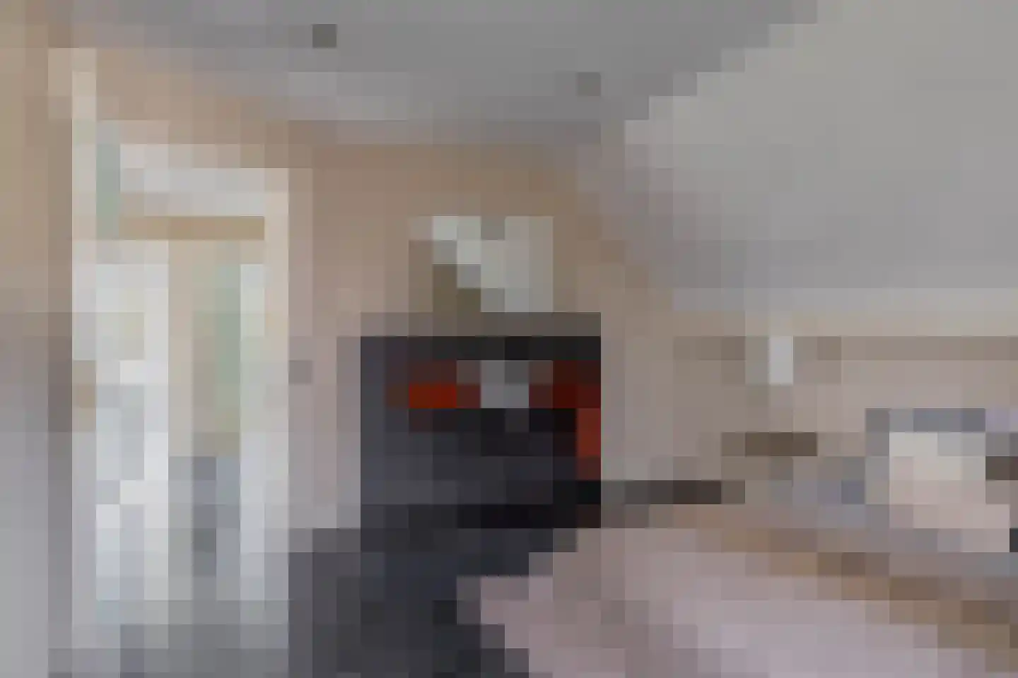 Vivaldistraat 5 Schijndel thumbnail 26