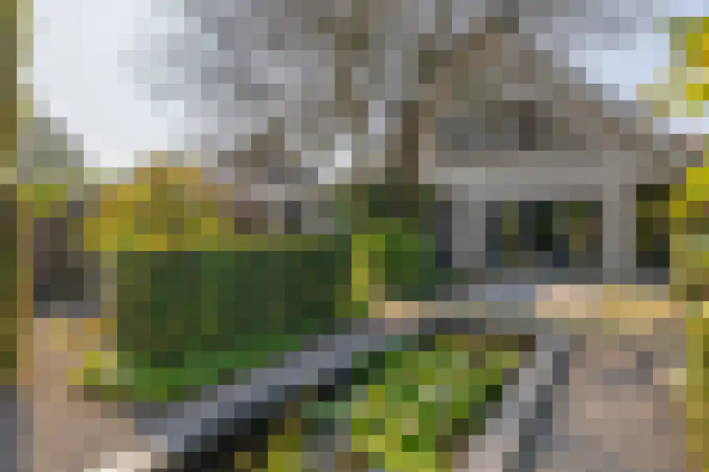 Vivaldistraat 5 Schijndel thumbnail 30