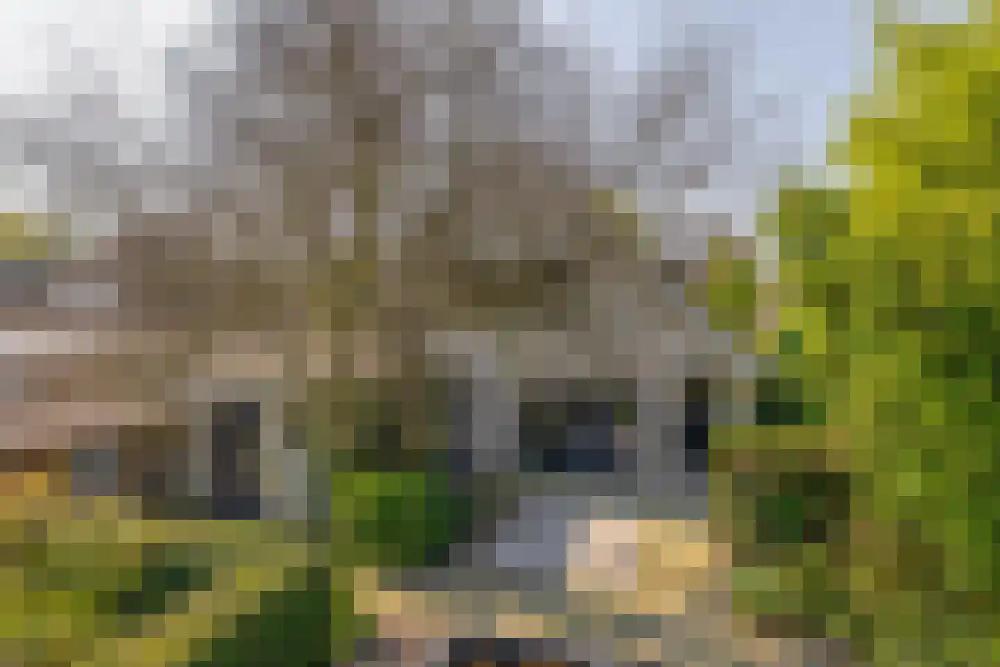Vivaldistraat 5 Schijndel thumbnail 31