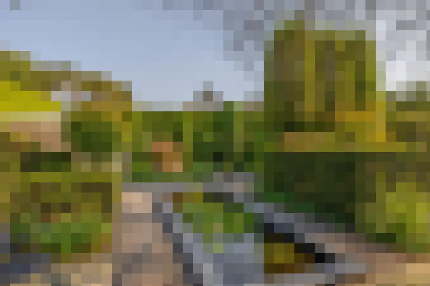 Vivaldistraat 5 Schijndel thumbnail 34