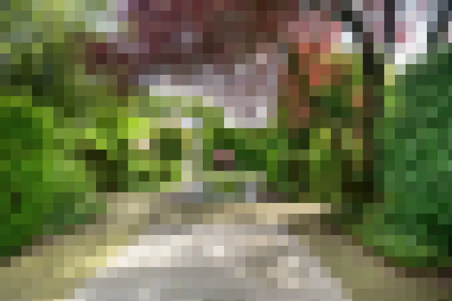 Vivaldistraat 5 Schijndel thumbnail 38