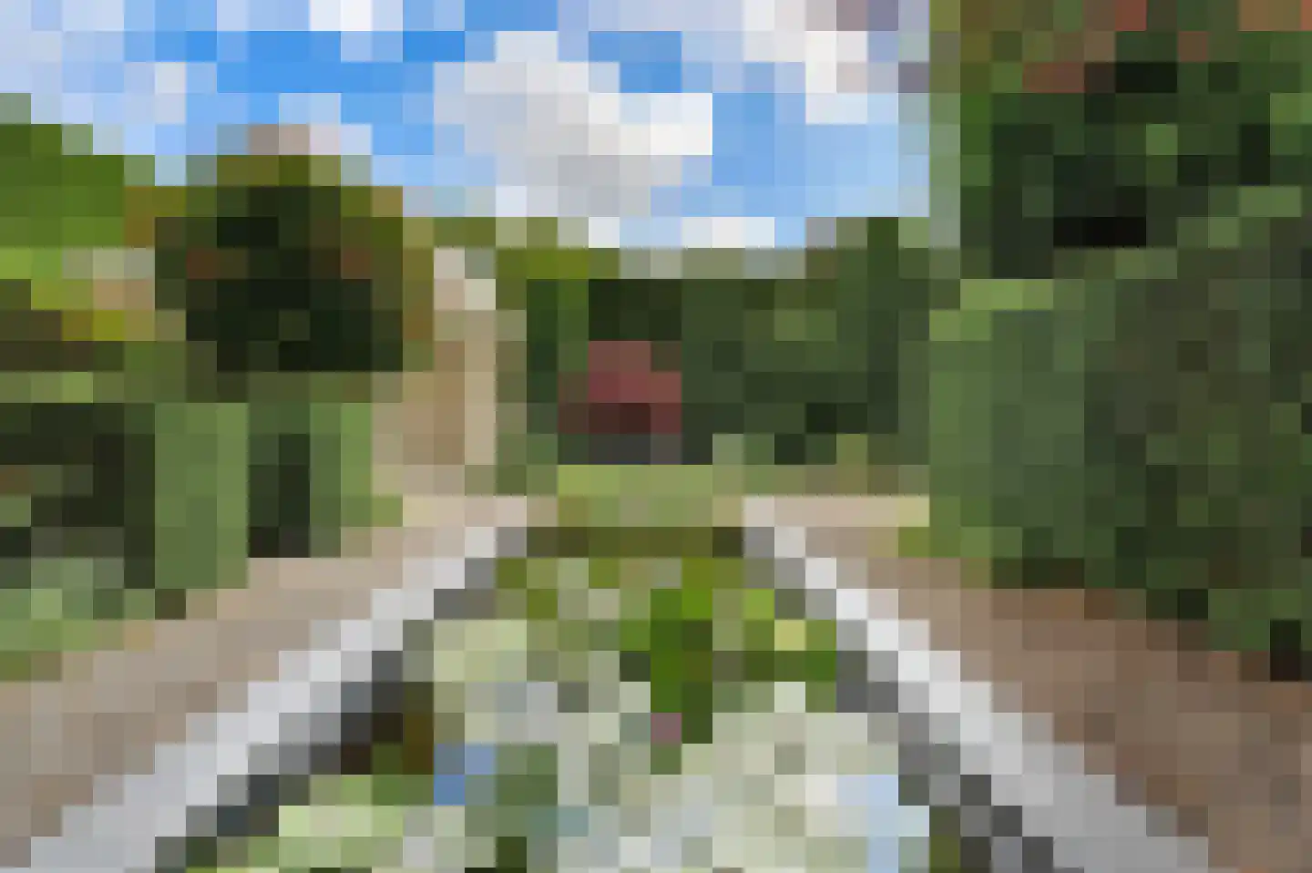 Vivaldistraat 5 Schijndel thumbnail 4