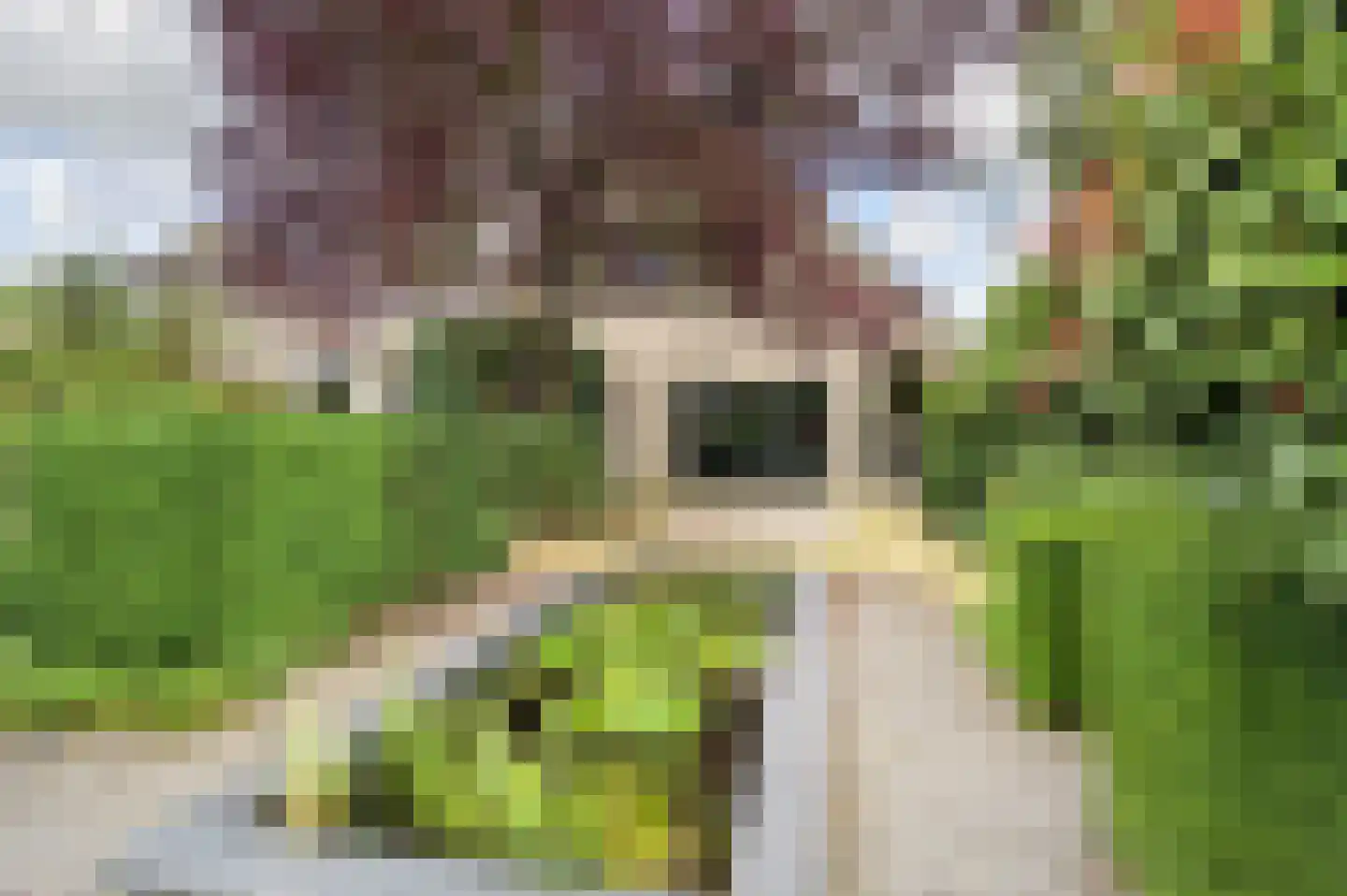 Vivaldistraat 5 Schijndel thumbnail 43