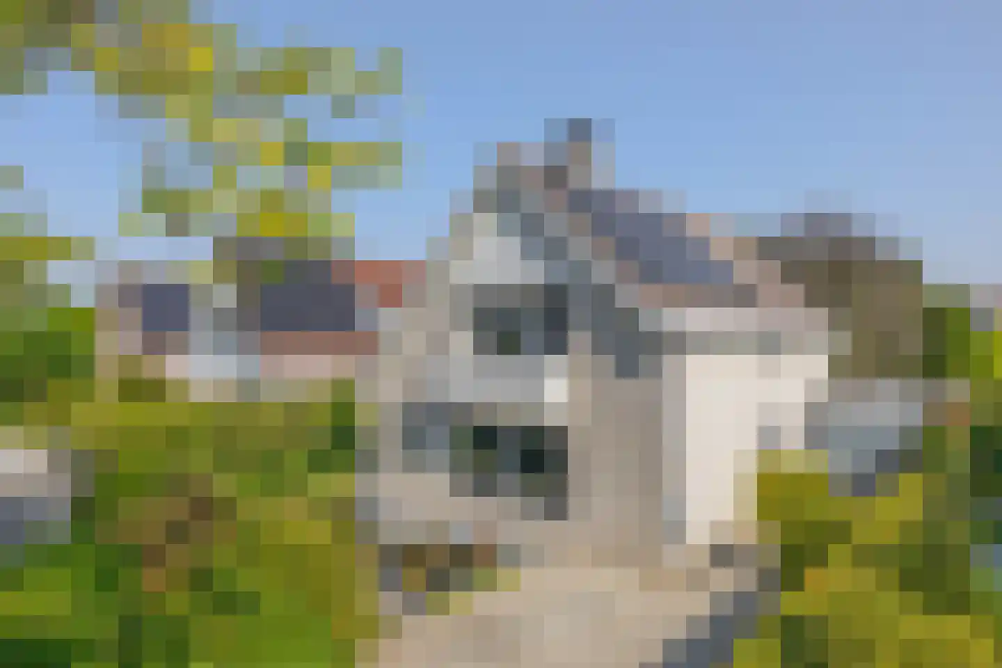 Vivaldistraat 5 Schijndel thumbnail 44