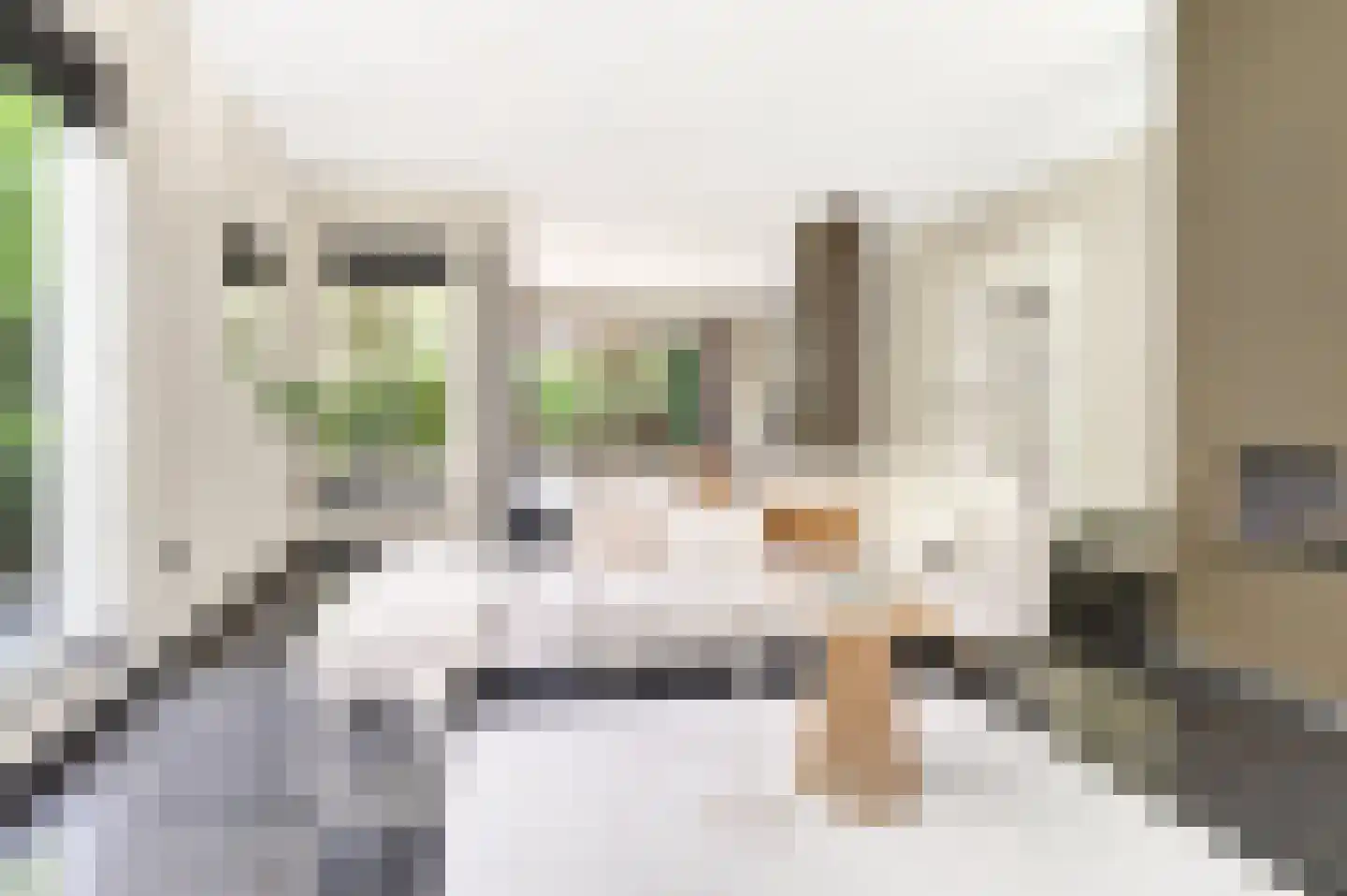 Vivaldistraat 5 Schijndel thumbnail 5