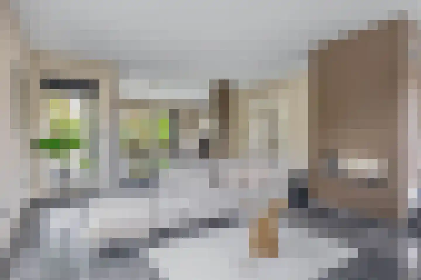 Vivaldistraat 5 Schijndel thumbnail 6
