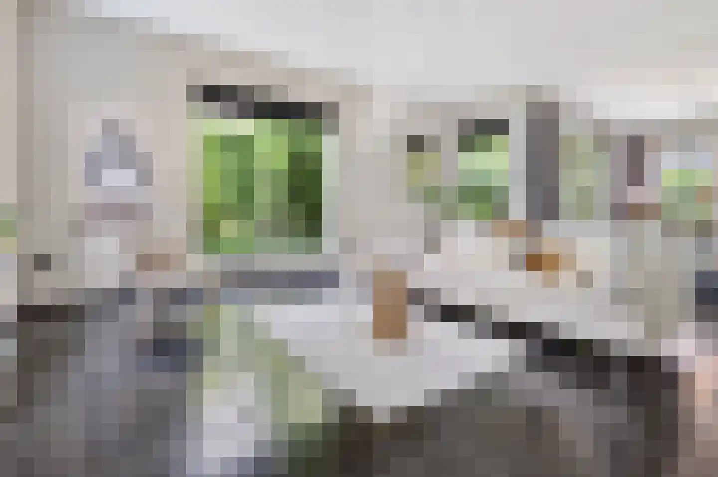 Vivaldistraat 5 Schijndel thumbnail 6