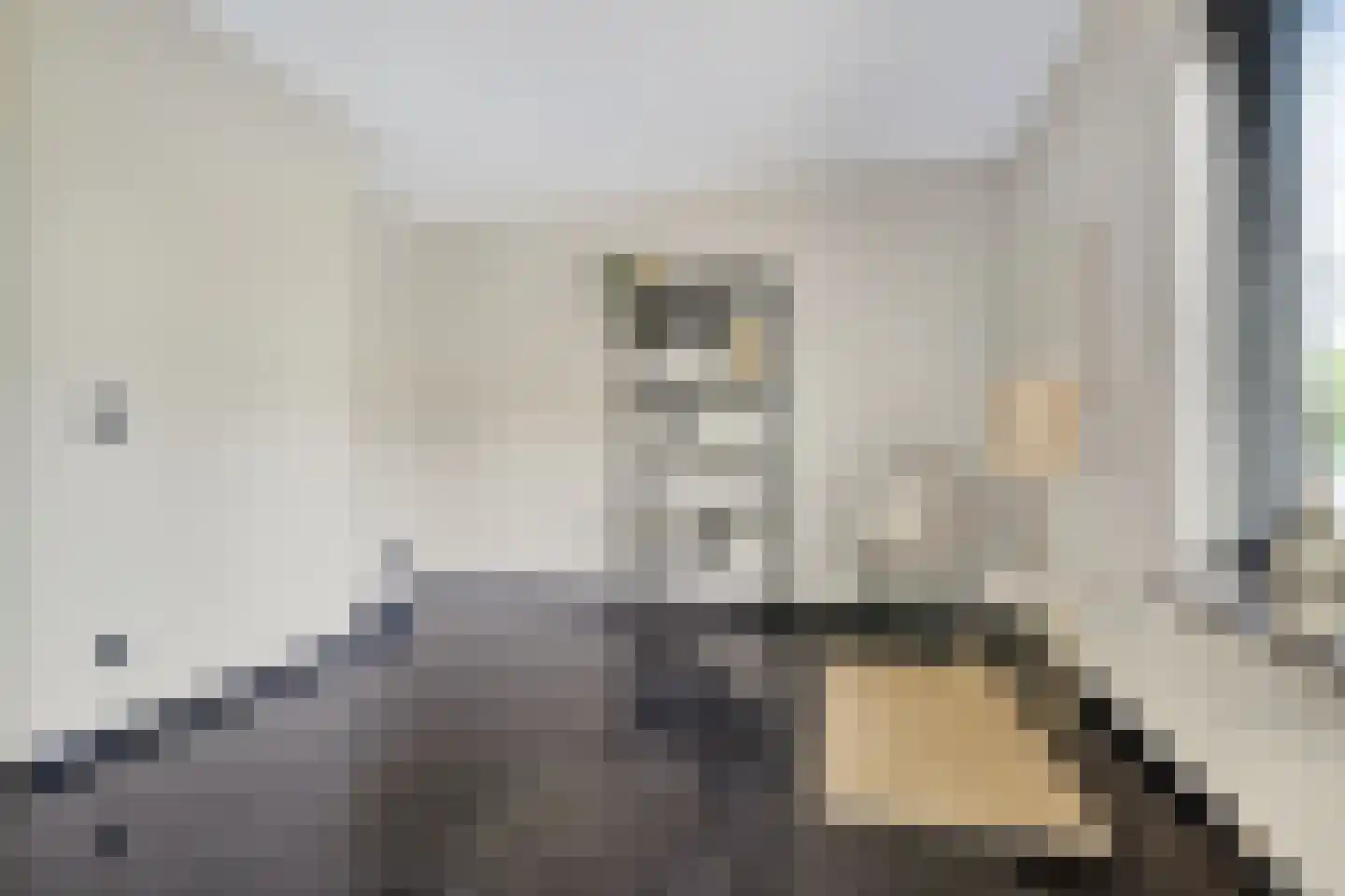 Vivaldistraat 5 Schijndel thumbnail 8