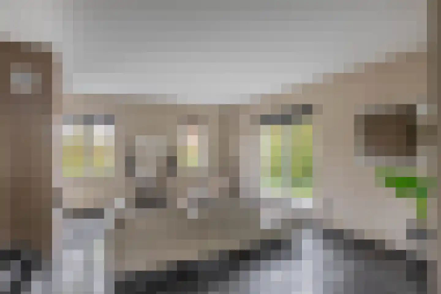 Vivaldistraat 5 Schijndel thumbnail 9