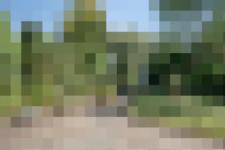 Vivaldistraat 52 Veenendaal thumbnail 31