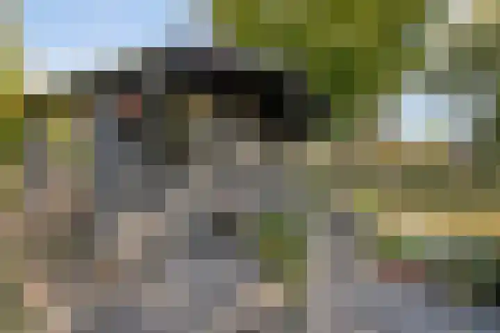 Vivaldistraat 52 Veenendaal thumbnail 33