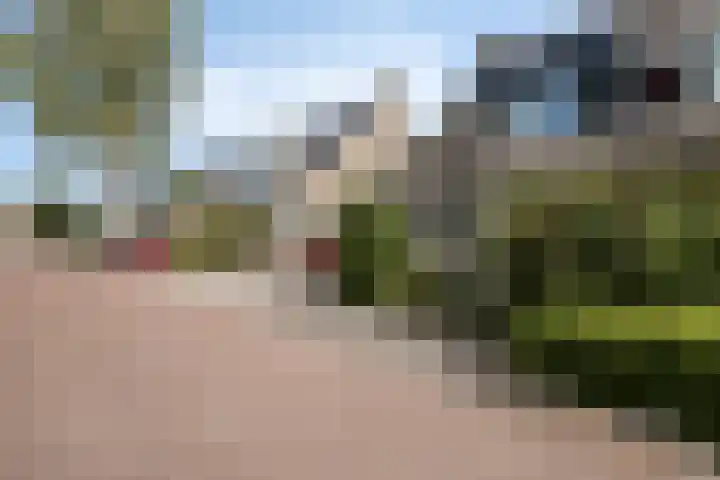 Vivaldistraat 52 Veenendaal thumbnail 34
