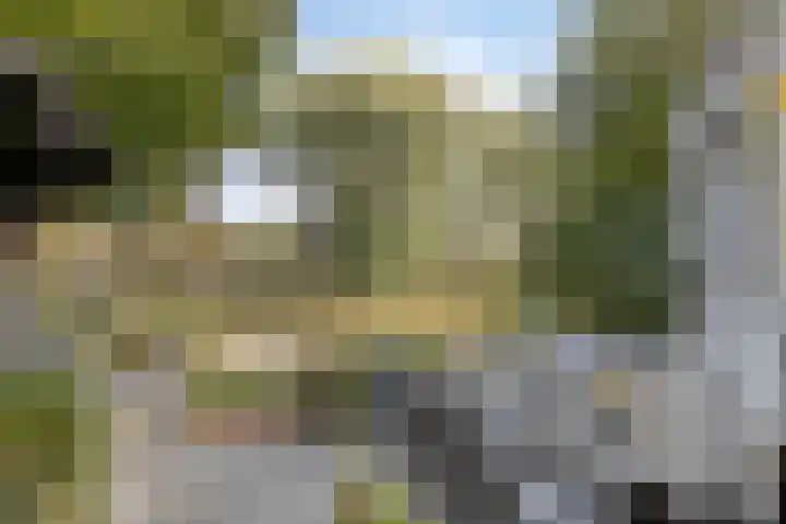 Vivaldistraat 52 Veenendaal thumbnail 35