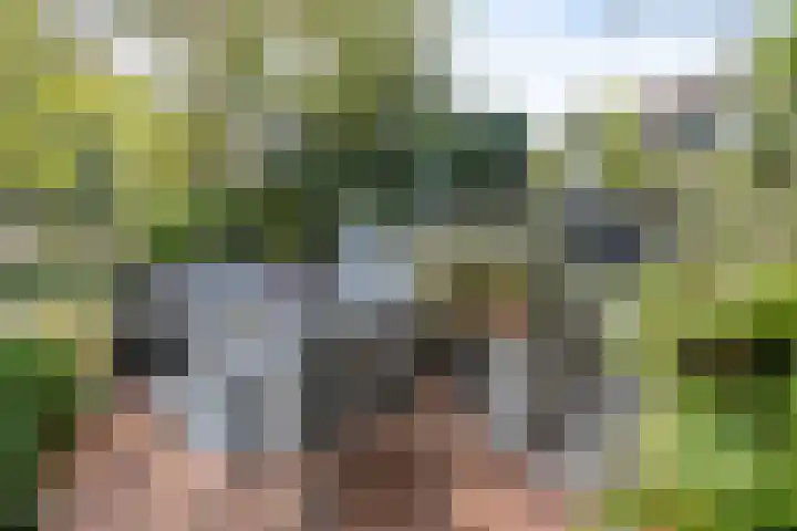 Vivaldistraat 52 Veenendaal thumbnail 37