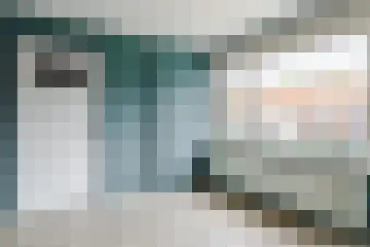 Vivaldistraat 6 Culemborg thumbnail 14