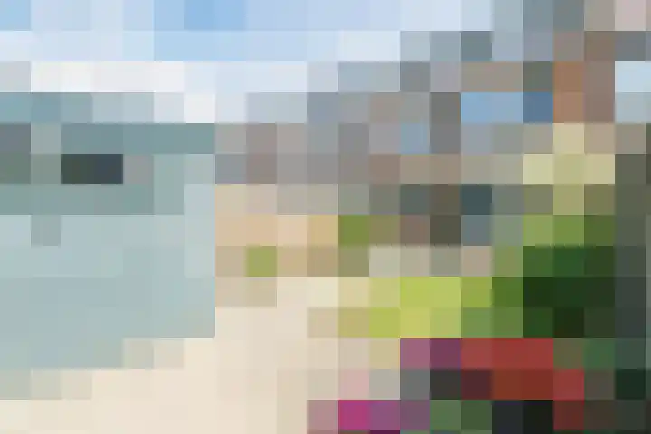 Vivaldistraat 6 Culemborg thumbnail 28