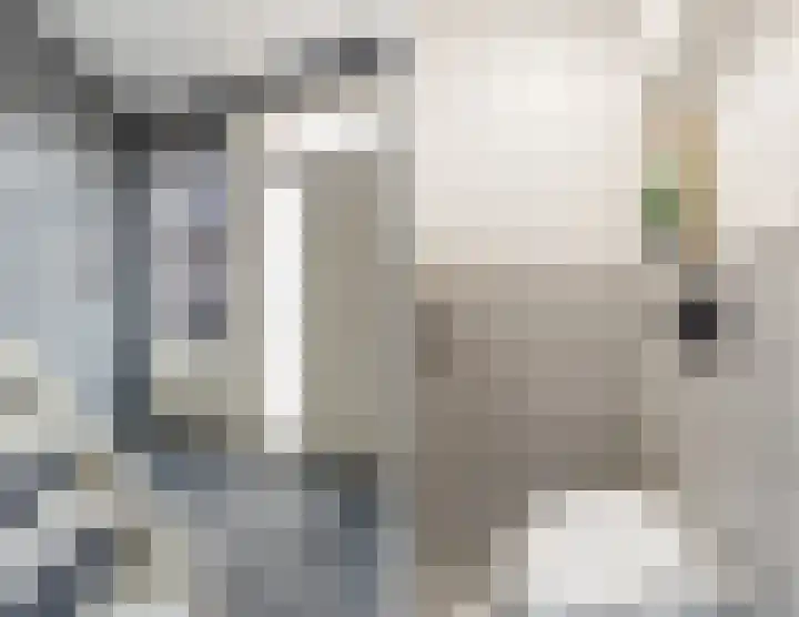 Vivaldistraat 6 Culemborg thumbnail 5