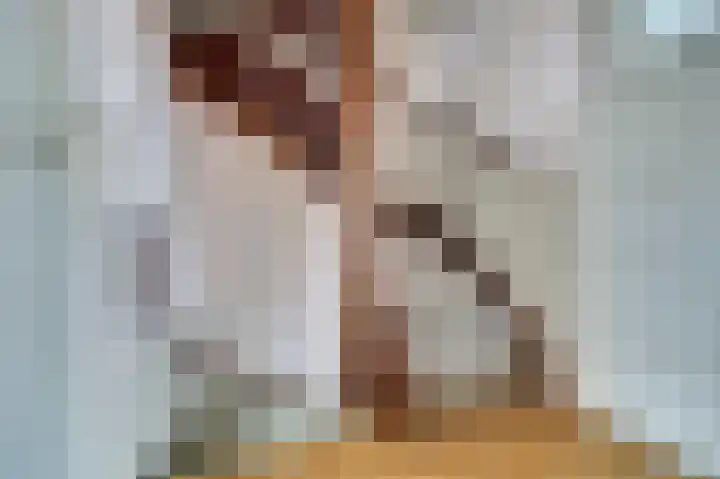 Vivaldistraat 65 Tilburg thumbnail 11
