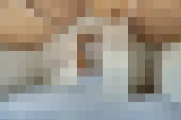 Vivaldistraat 65 Tilburg thumbnail 22
