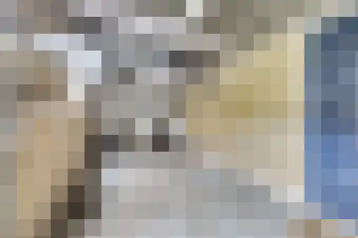 Vivaldistraat 65 Tilburg thumbnail 26