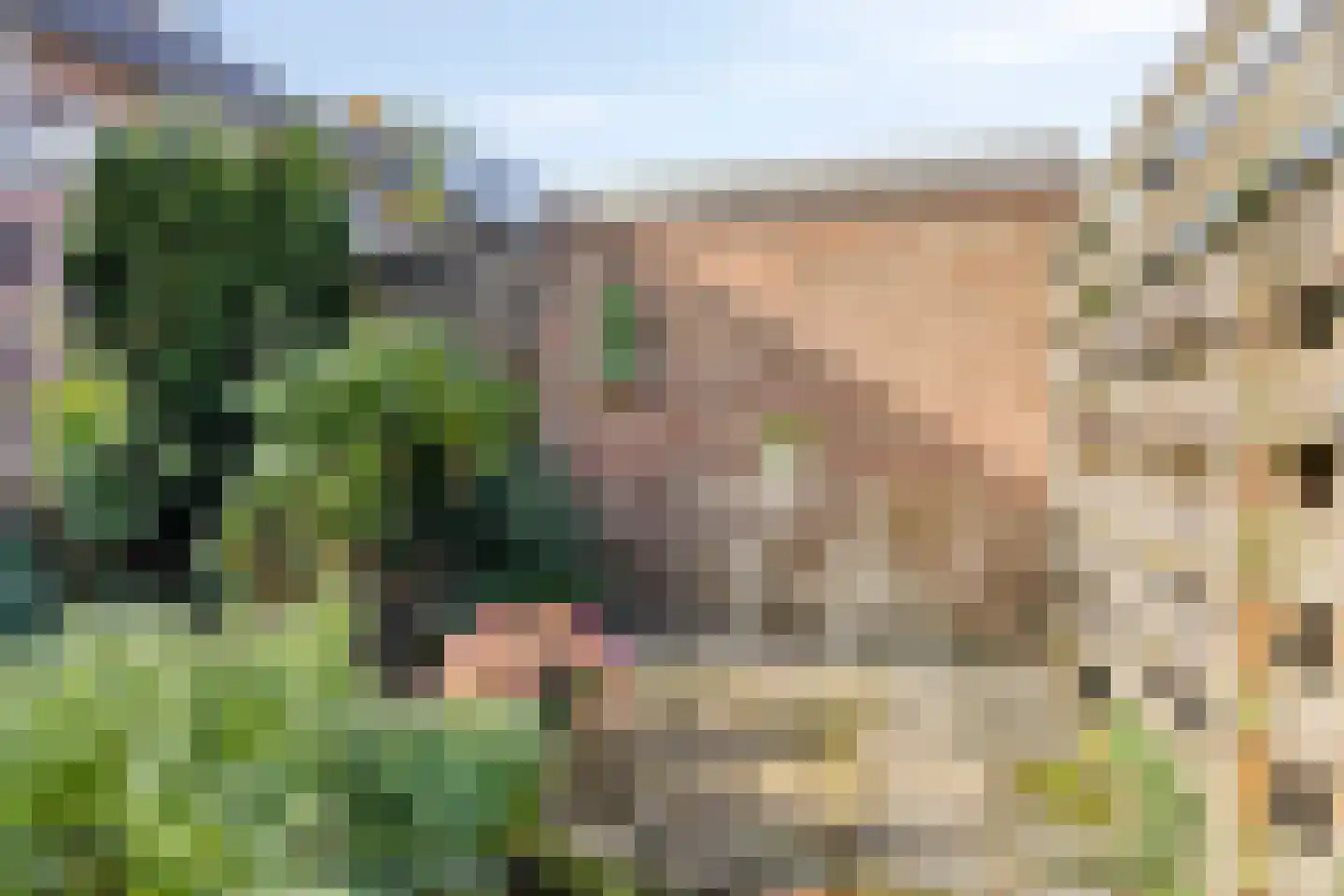 Vivaldistraat 66 Zwolle thumbnail 37