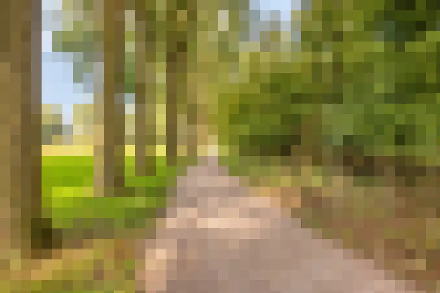 Vivaldistraat 66 Zwolle thumbnail 41
