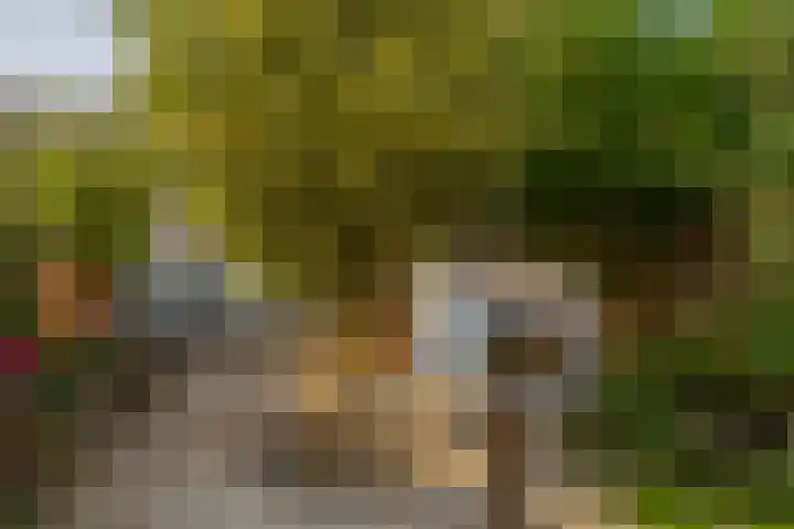 Vivaldistraat 71 Capelle aan den IJssel thumbnail 30