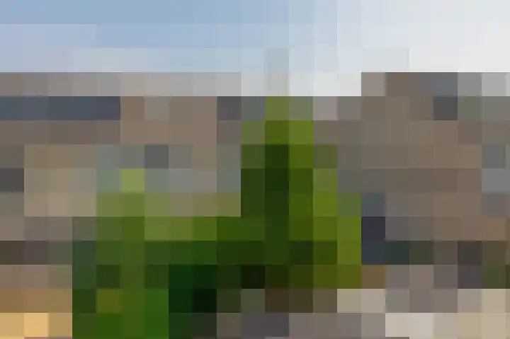 Vivaldistraat 71 Capelle aan den IJssel thumbnail 33