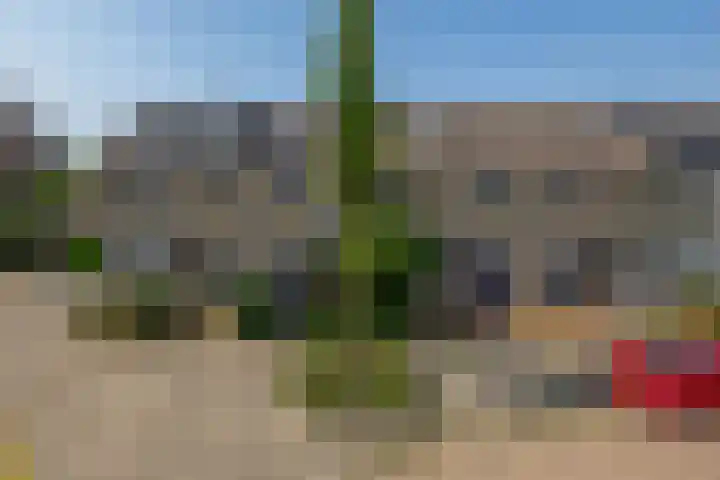 Vivaldistraat 71 Capelle aan den IJssel thumbnail 36