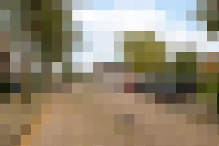 Vivaldistraat 72 Zwolle thumbnail 36