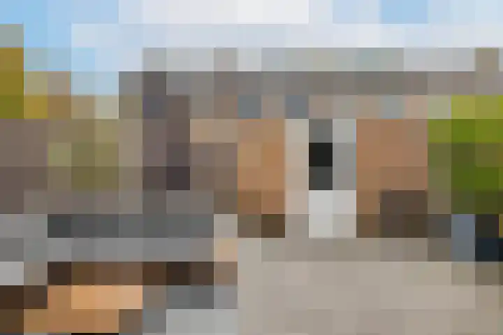 Vivaldistraat 72 Zwolle thumbnail 5