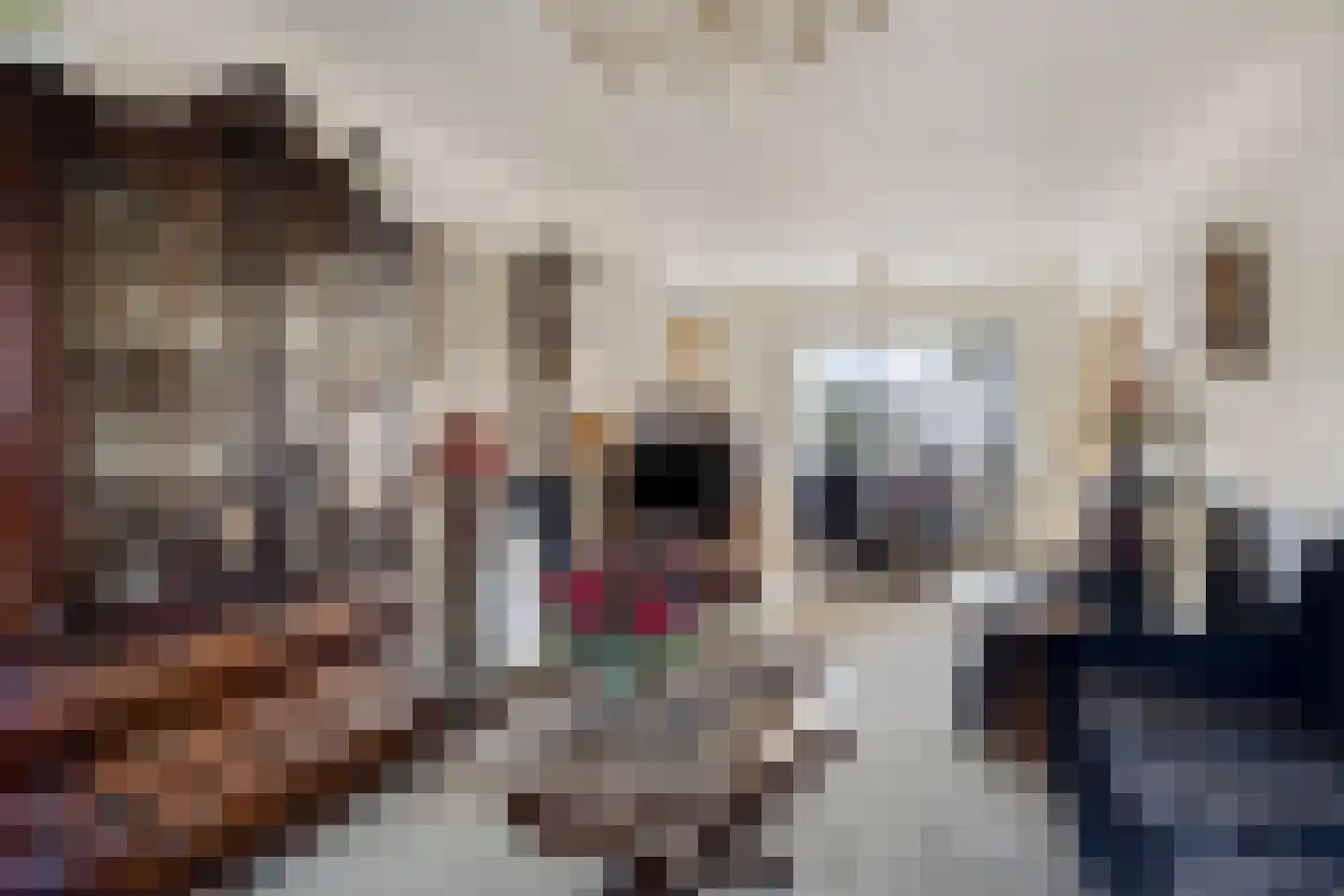 Vivaldistraat 78 Zwolle thumbnail 11