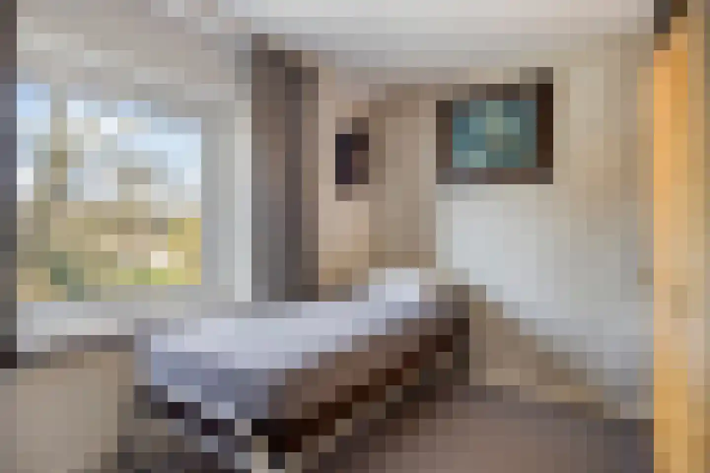 Vivaldistraat 78 Zwolle thumbnail 21