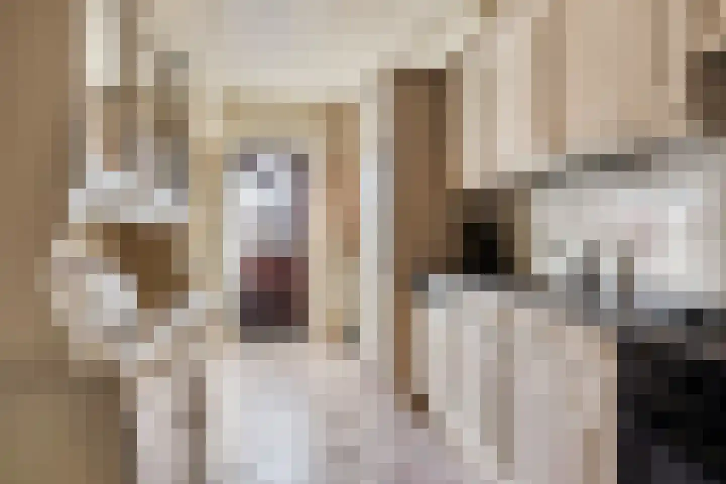 Vivaldistraat 78 Zwolle thumbnail 8