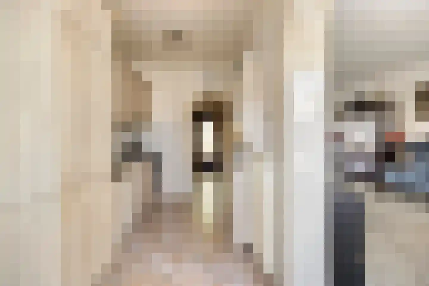 Vivaldistraat 78 Zwolle thumbnail 9
