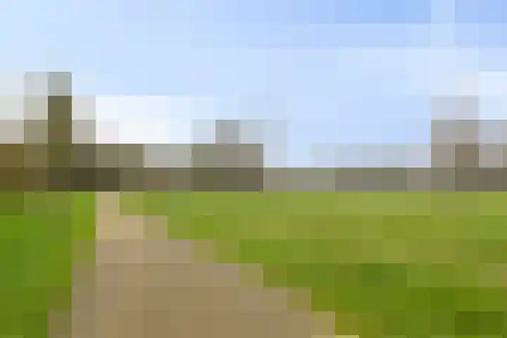 Vivaldistraat 8 A 's-Hertogenbosch thumbnail 21